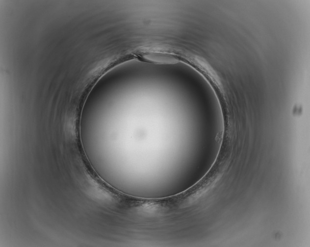 X0000096970441200802081256