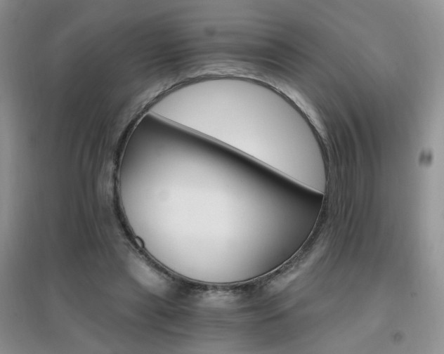 X0000096970445200802081256