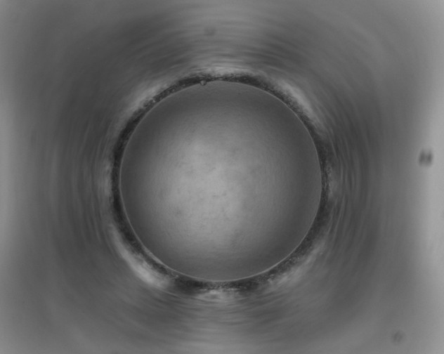 X0000096970447200802081256