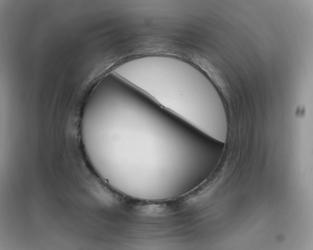 X0000096970449200802081256