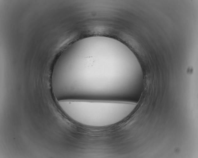 X0000096970450200802081256