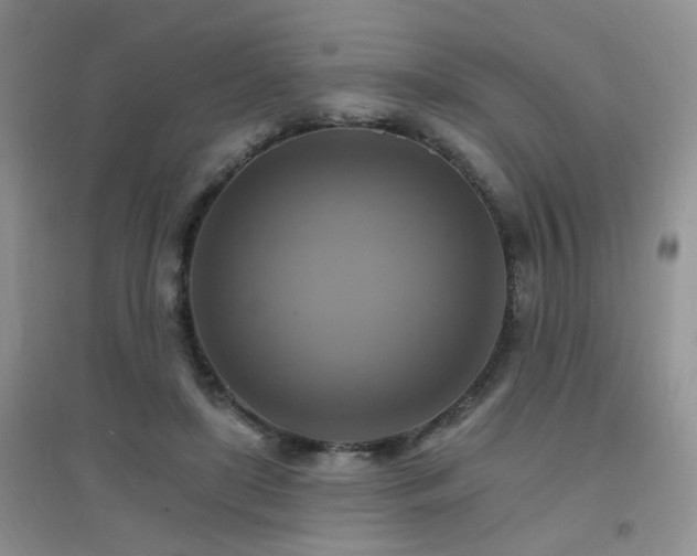 X0000096970451200802081256