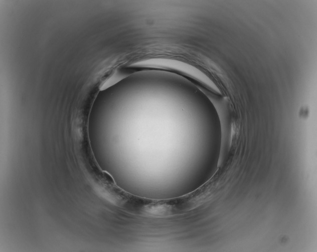 X0000096970452200802081256