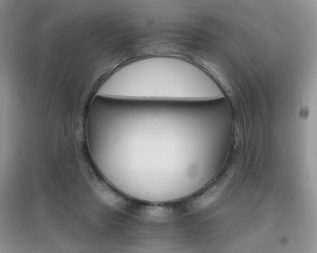 X0000096970453200802081256