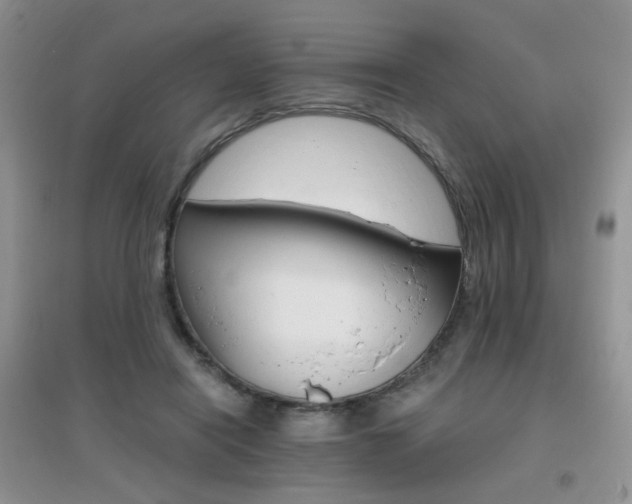 X0000096970454200802081256