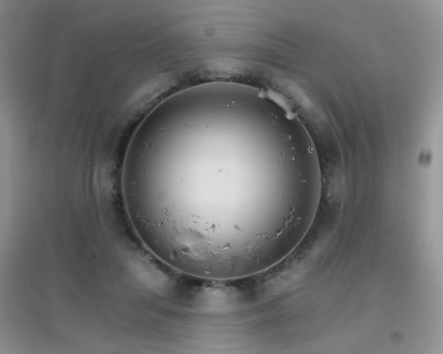 X0000096970455200802081256