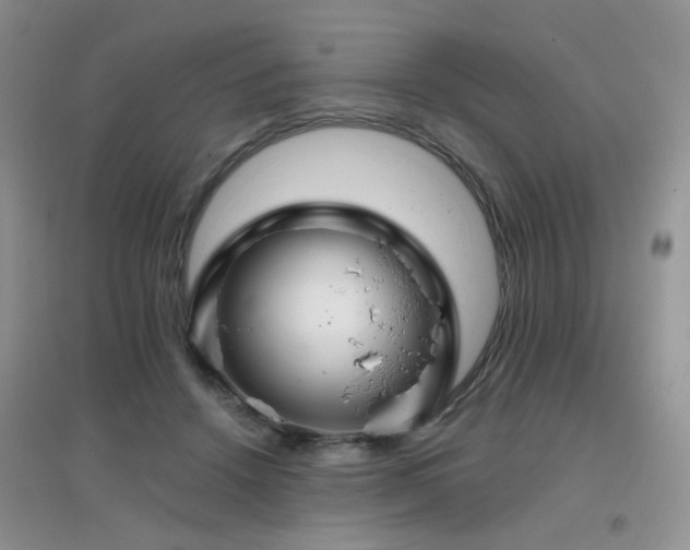 X0000096970456200802081256