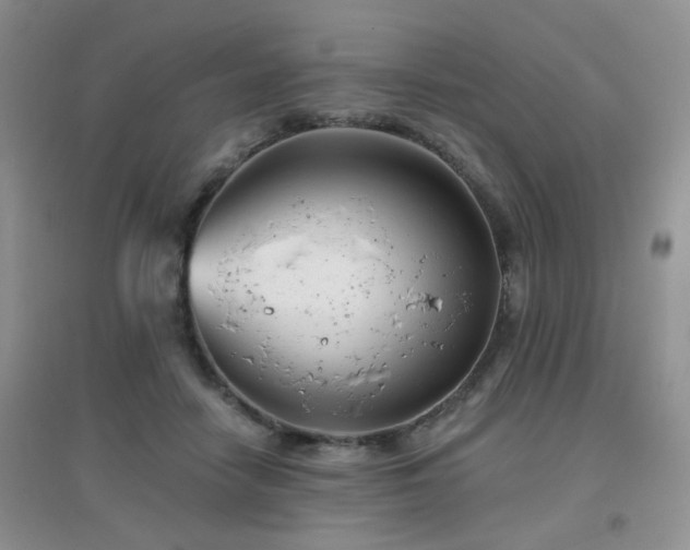 X0000096970458200802081256