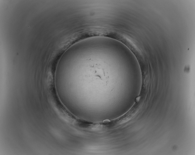 X0000096970459200802081256