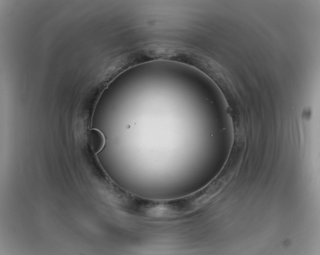 X0000096970460200802081256