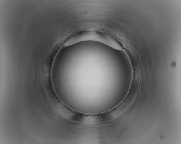 X0000096970461200802081256