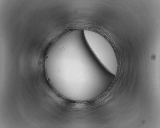 X0000096970462200802081256