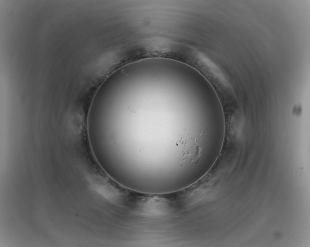 X0000096970463200802081256