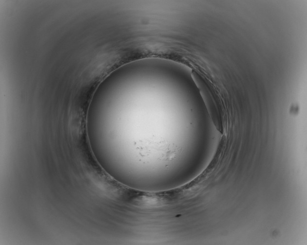 X0000096970464200802081256