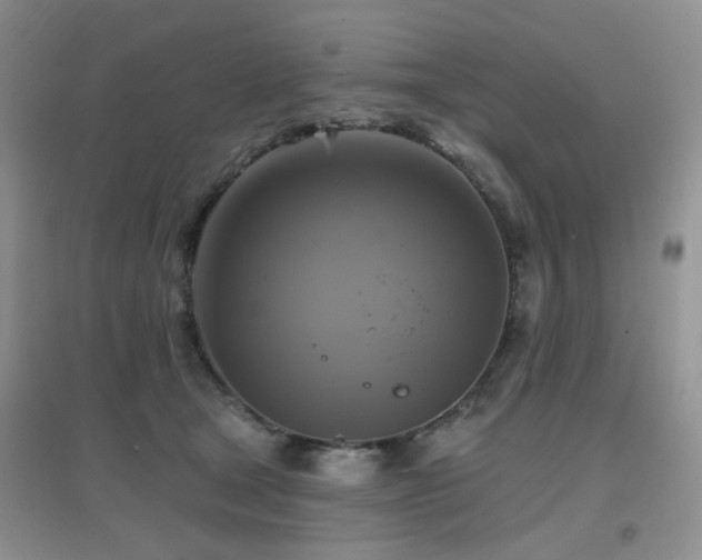 X0000096970465200802081256