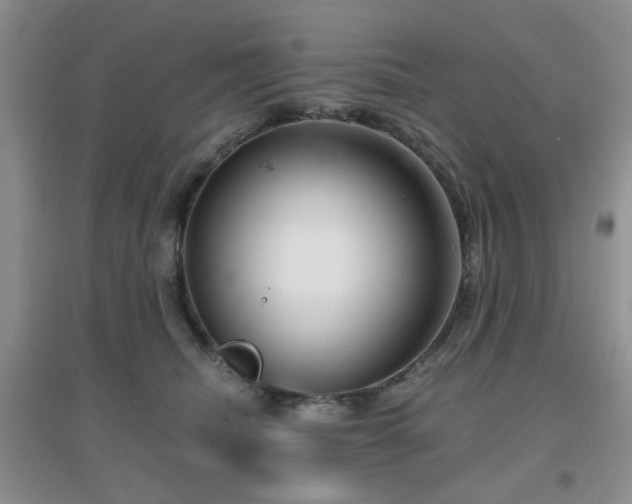X0000096970468200802081256