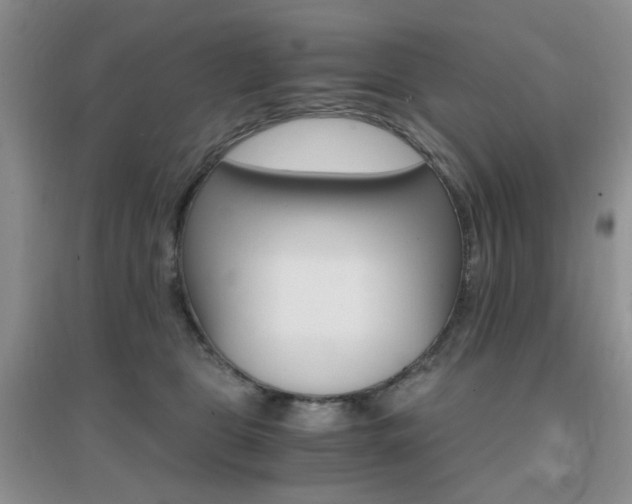 X0000096970469200802081256