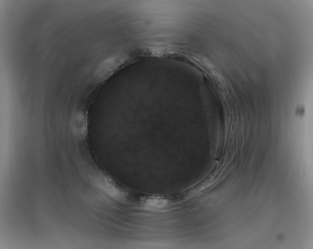 X0000096970471200802081256