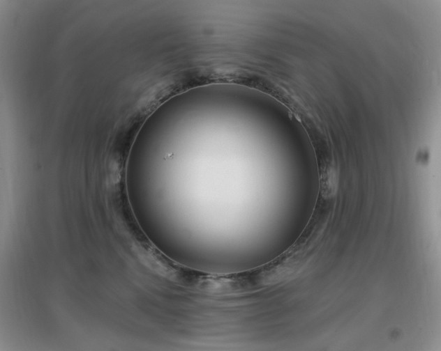 X0000096970472200802081256