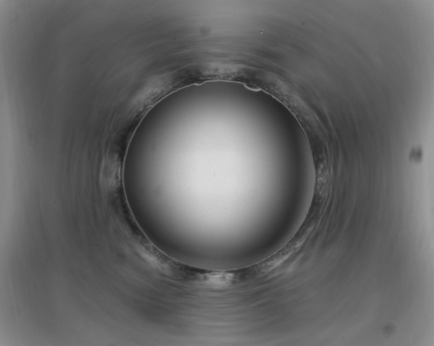 X0000096970474200802081256