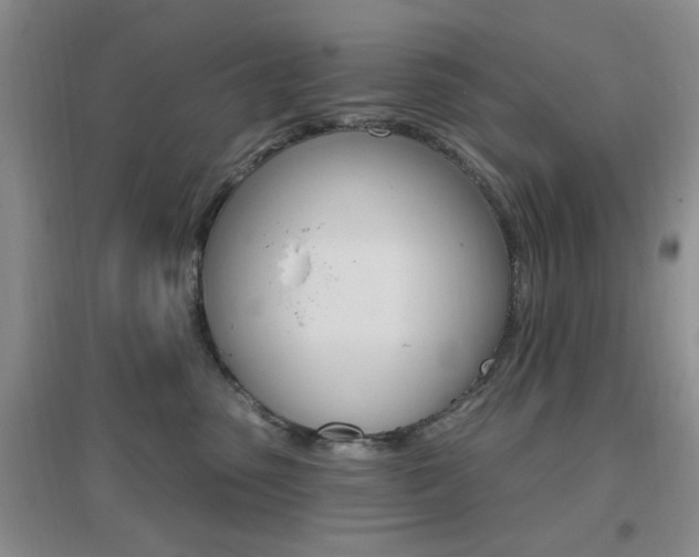X0000096970475200802081256