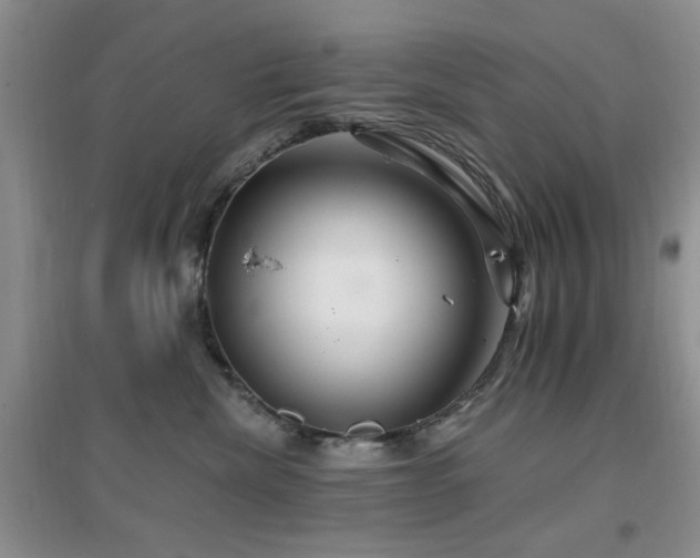 X0000096970476200802081256