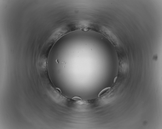 X0000096970477200802081256