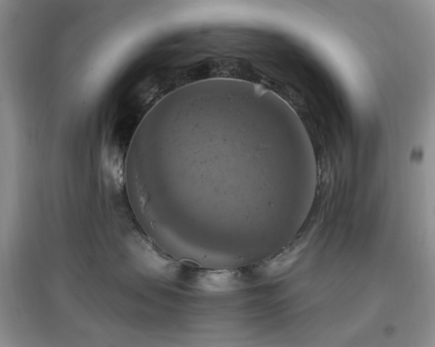 X0000096970479200802081256