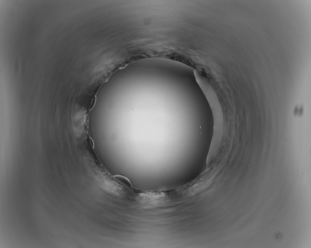 X0000096970480200802081256