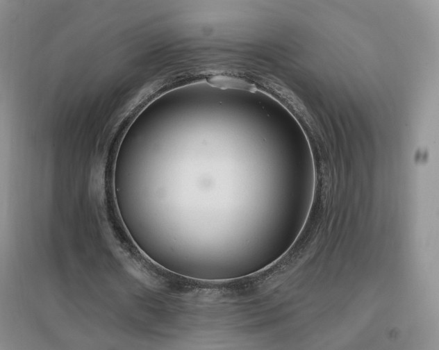 X0000096970482200802081255