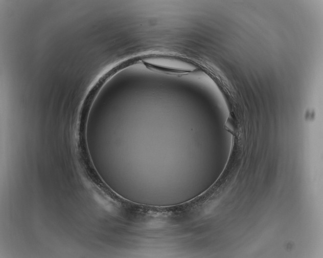 X0000096970484200802081255
