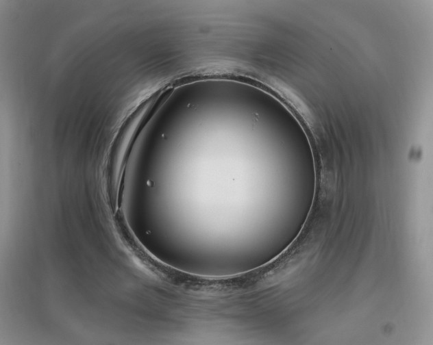 X0000096970485200802081255