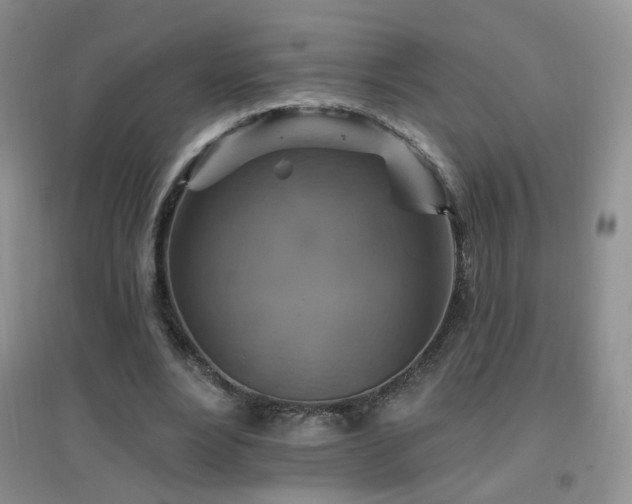 X0000096970488200802081255