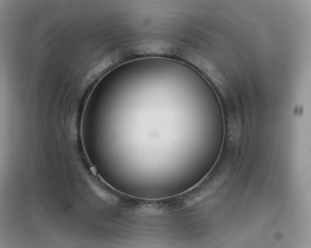 X0000096970489200802081255