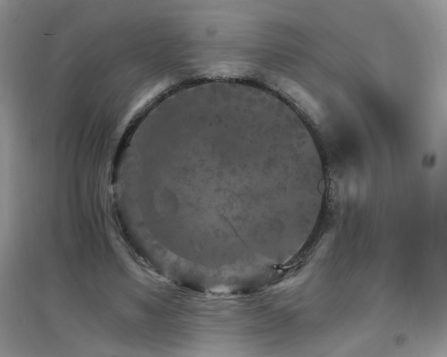 X0000096970491200802081255