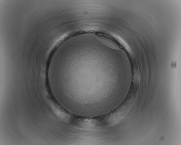 X0000096970493200802081255