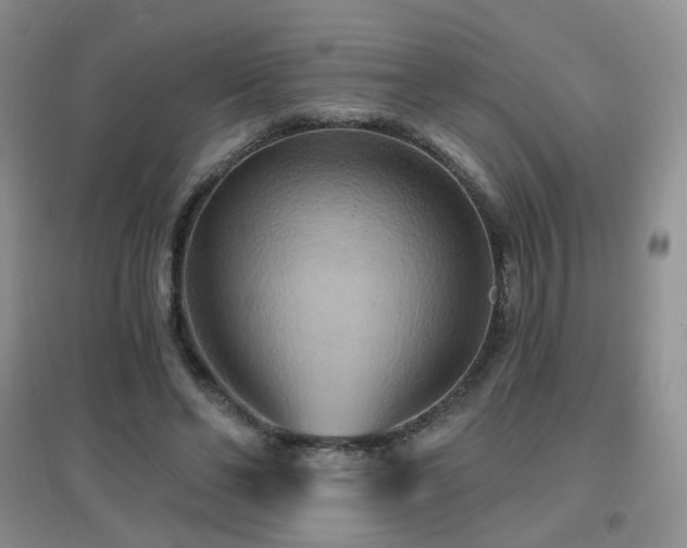 X0000096970494200802081255