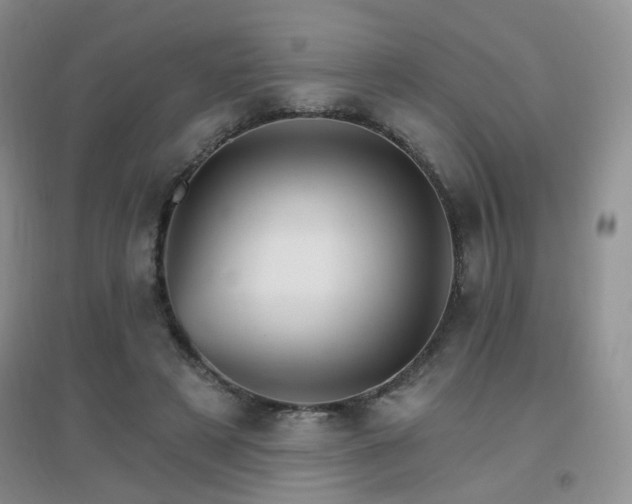 X0000096970497200802081255