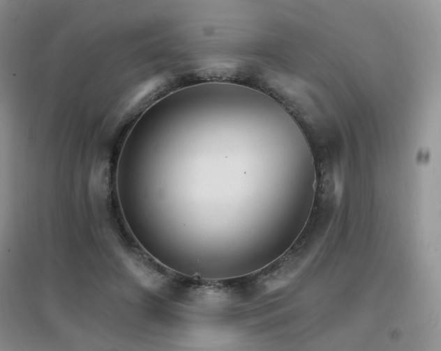 X0000096970498200802081255