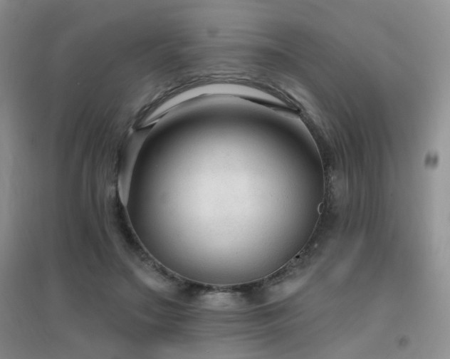 X0000096970499200802081255