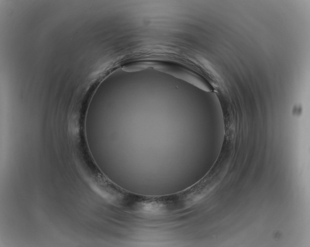 X0000096970500200802081255
