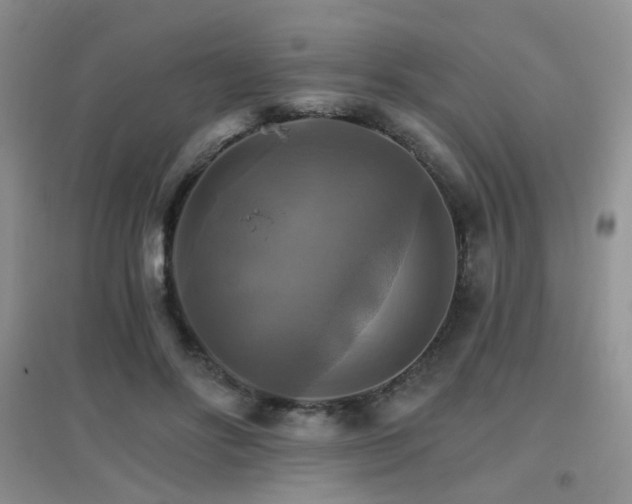 X0000096970502200802081255
