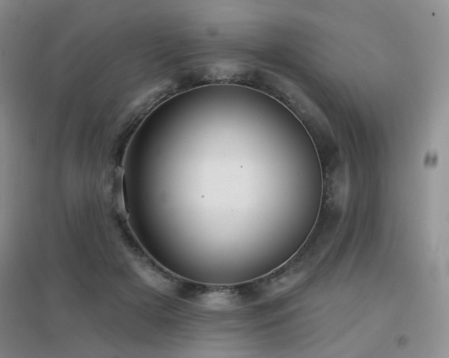 X0000096970505200802081255