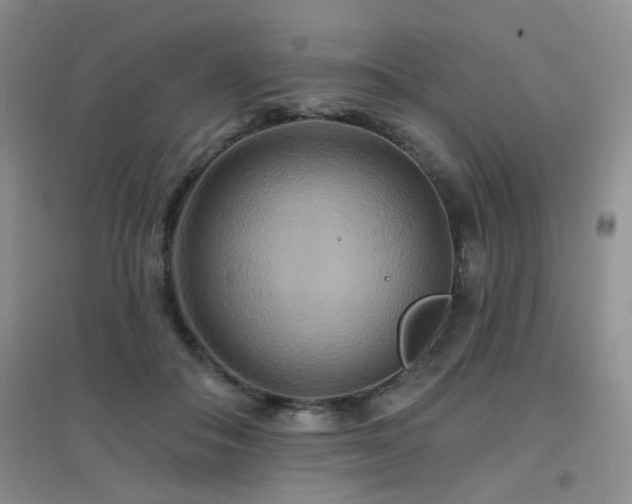 X0000096970506200802081255