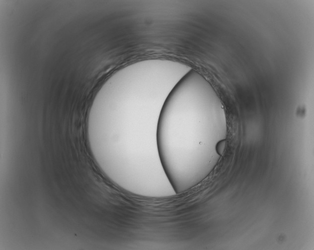 X0000096970511200802081255