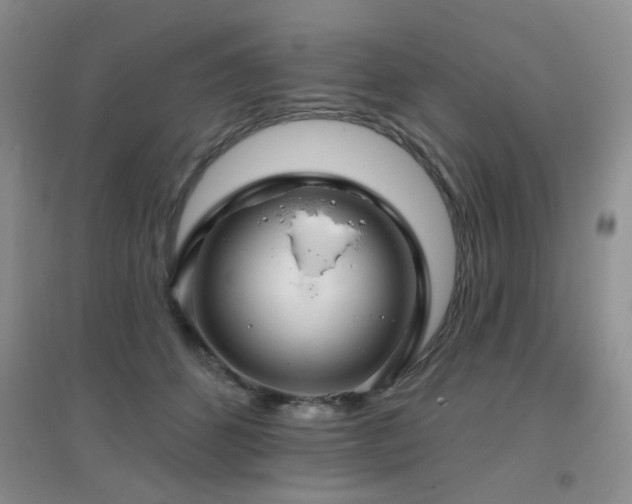 X0000096970512200802081255