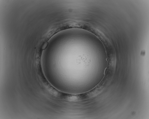 X0000096970513200802081255