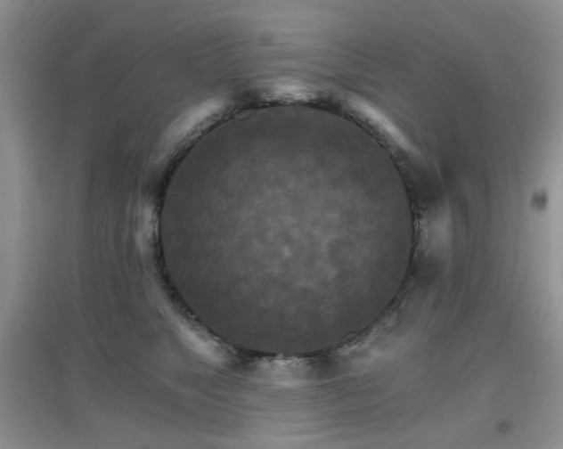 X0000096970517200802081255
