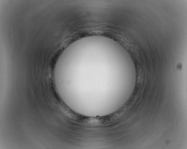 X0000096970518200802081255