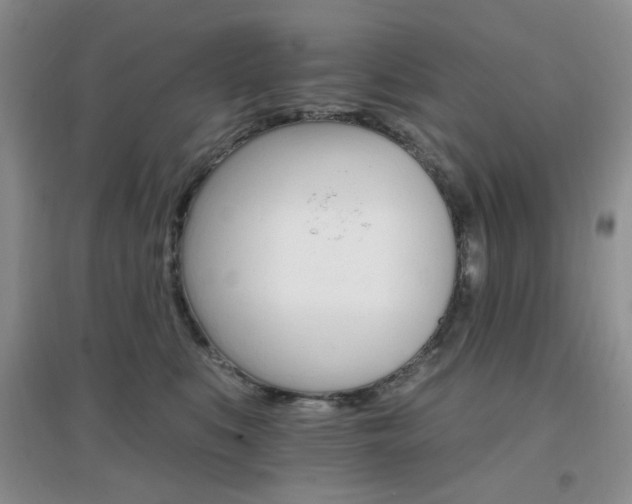 X0000096970519200802081255